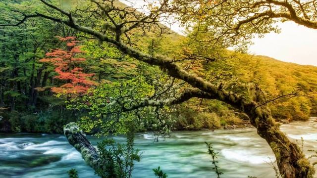 Atmosession (vocal chillout) - Vol.2