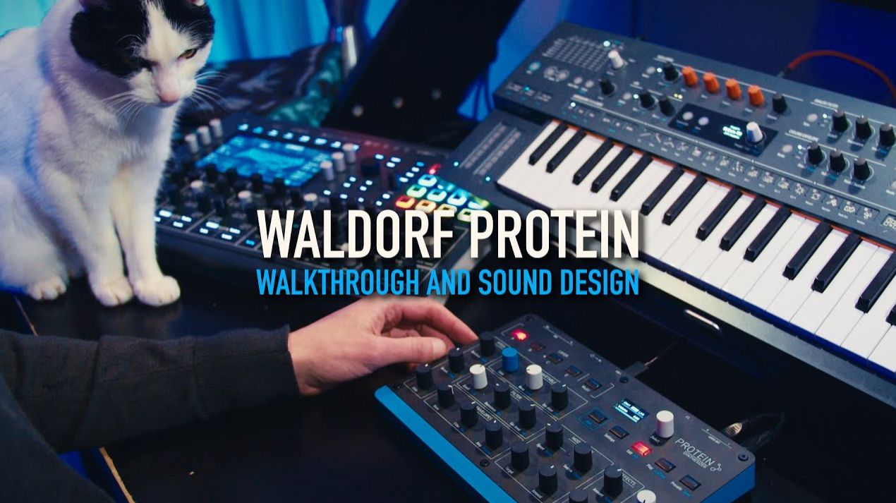 Waldorf Protein: Walkthrough and Sound Design