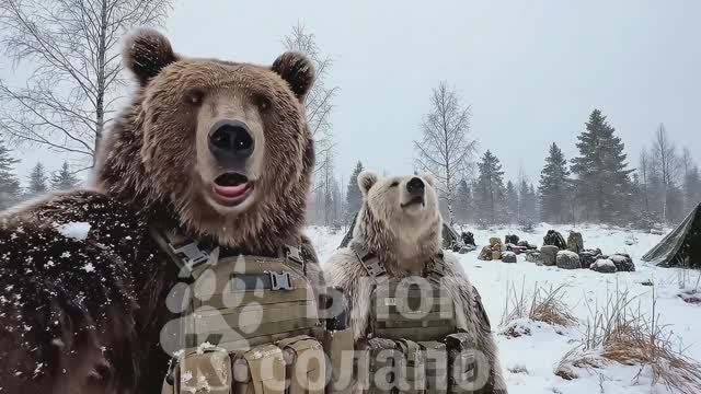 🔴Михалыч и Потапыч - «Первый Снег»🔴