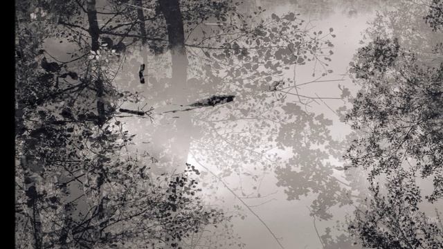 СТРАННАЯ ГЕРМАНСКАЯ ОСЕНЬ... (Фото Евгении КАРПЕНКО (Берлин), музыка Владимира РЕБИКОВА (1866-1920))