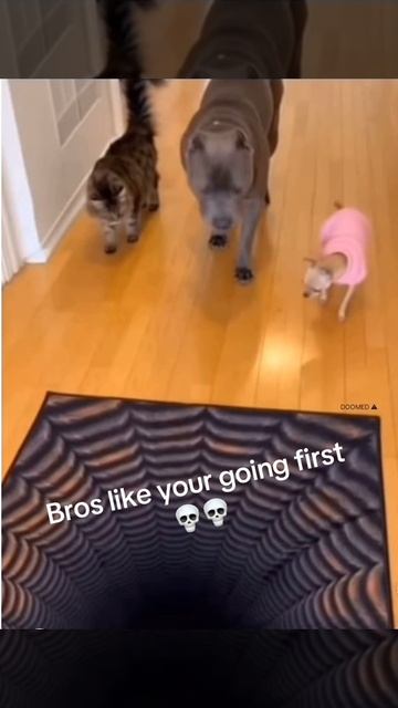 Отправил на проверку