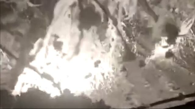 Массовое налипание снега в Смоленской области