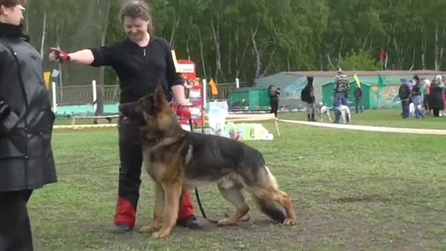 Всероссийская выставка.  Герман Из ТД. Май 2014