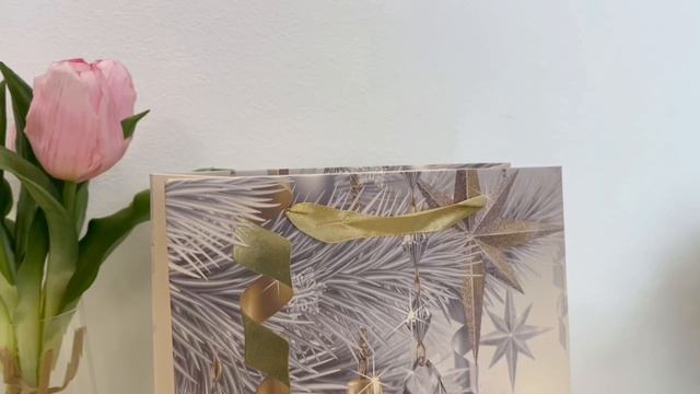 Подарочный пакет НОВОГОДНИЕ ШАРЫ 'ХОУП', бумага, 24х18 см, XNA21042911-2