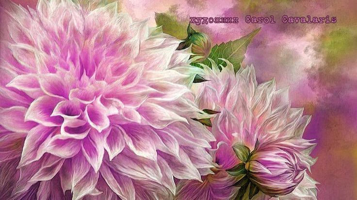 Цифровой художник и фотограф Carol Cavalaris   *