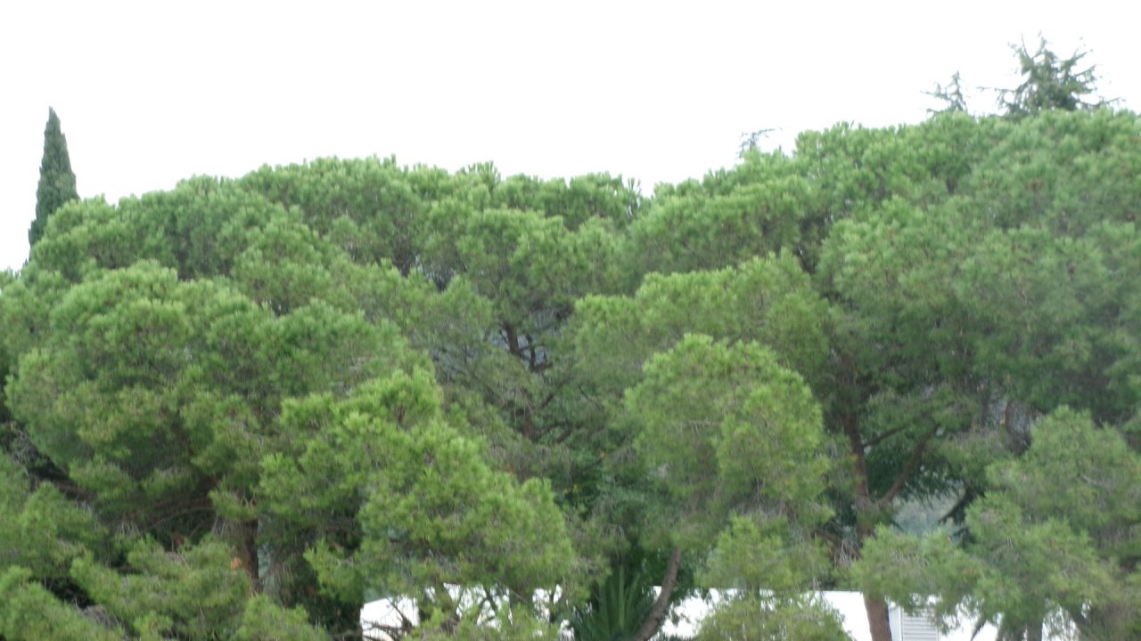 Прокатимся по Абхазии.  Исполнитель  АБХАЗИЯ. Версия EKStudio - Песня о ГАГРЕ.