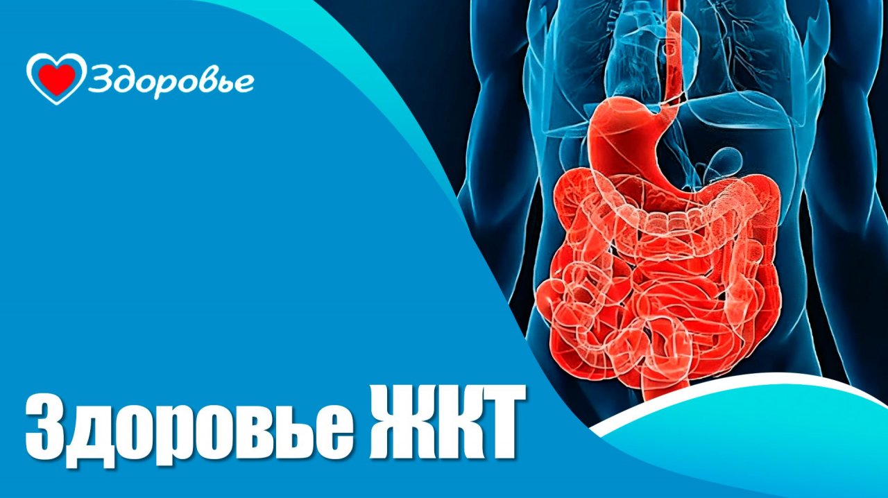 Здоровье. ЖКТ