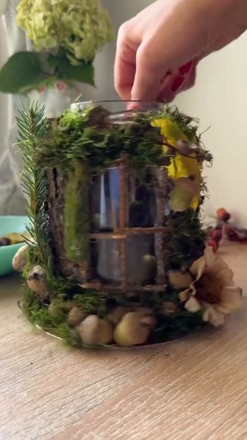 Композиция из природных материалов