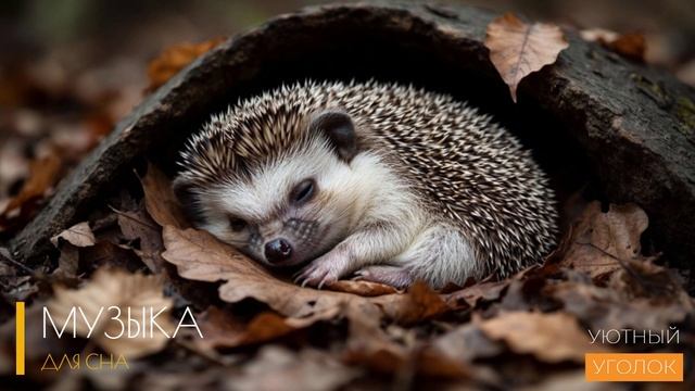 Успокаивающая музыка для сна без рекламы / КРАСИВАЯ И РАССЛАБЛЯЮЩАЯ МУЗЫКА