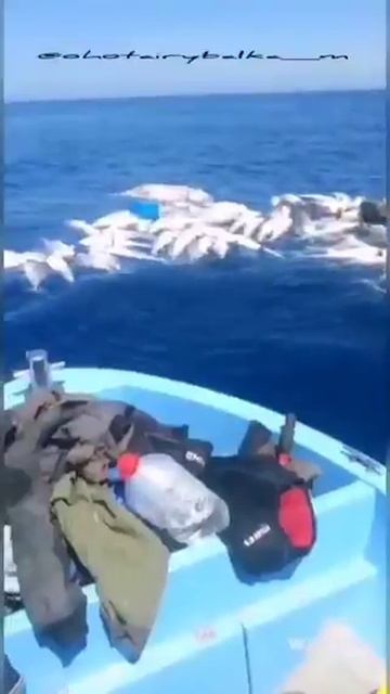 Ничёсе, ,,индейцы,, браконьерят