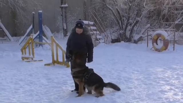Герман. Элементы послушания.  Январь  2014