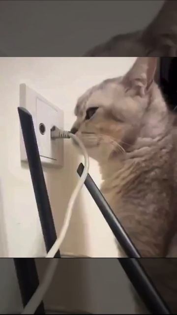 Никакого интернета на сегодня