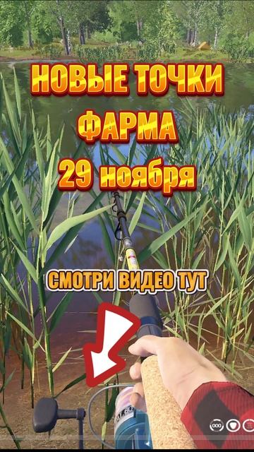 🤑 НОВЫЕ ТОЧКИ ФАРМА РР4! Раздача ТРОФОВ • КОМАРИНКА • МЕДНОЕ #рр4 #рр4фарм #русскаярыбалка4