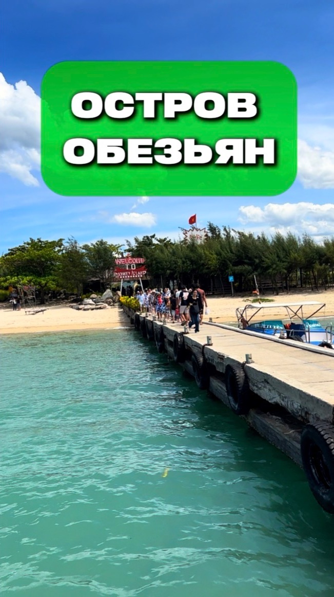 Остров обезьян