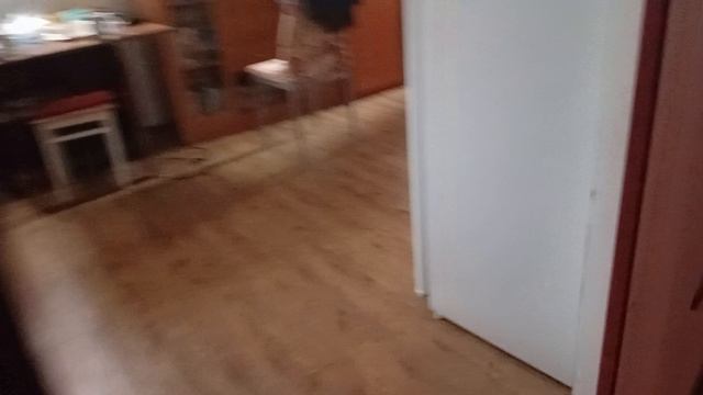 Алиса ты чего? 2