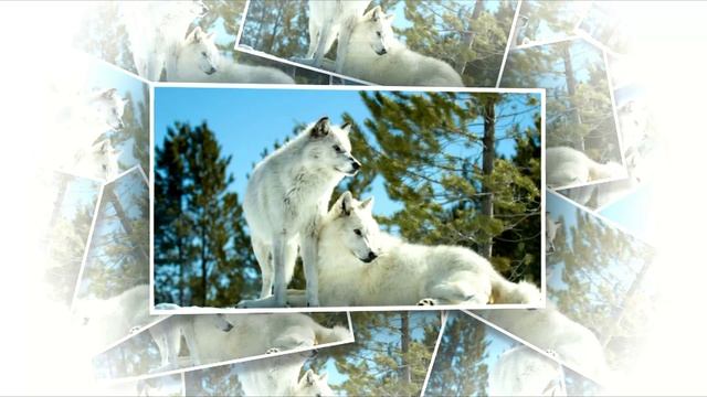 Atmosession - Vol. 4 (chillout)