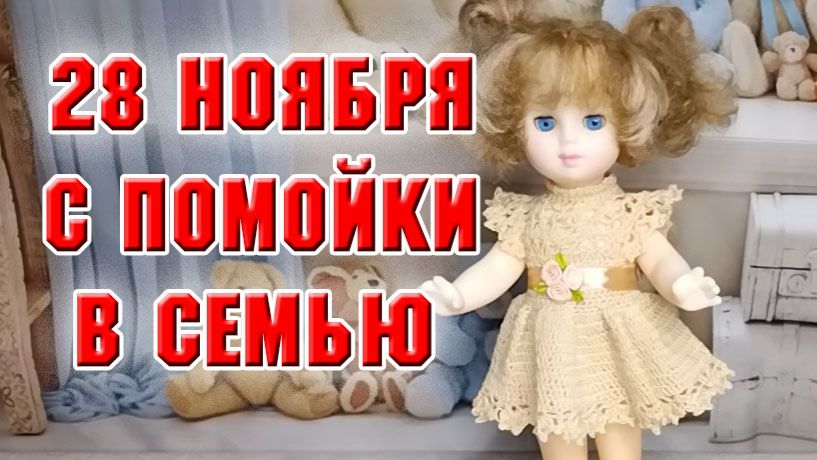 28 ноября. С помойки в семью