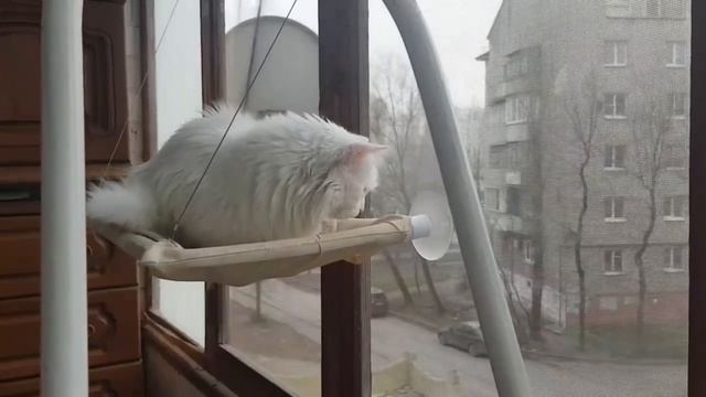 Леся и Сёма - Установка ПЦО прошла успешно