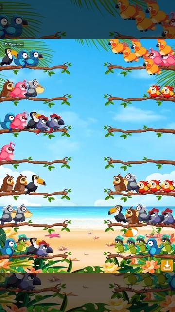 Санкт-Петербург. 30.11.2025. Развлечения. Игра _Рассортировать птиц_