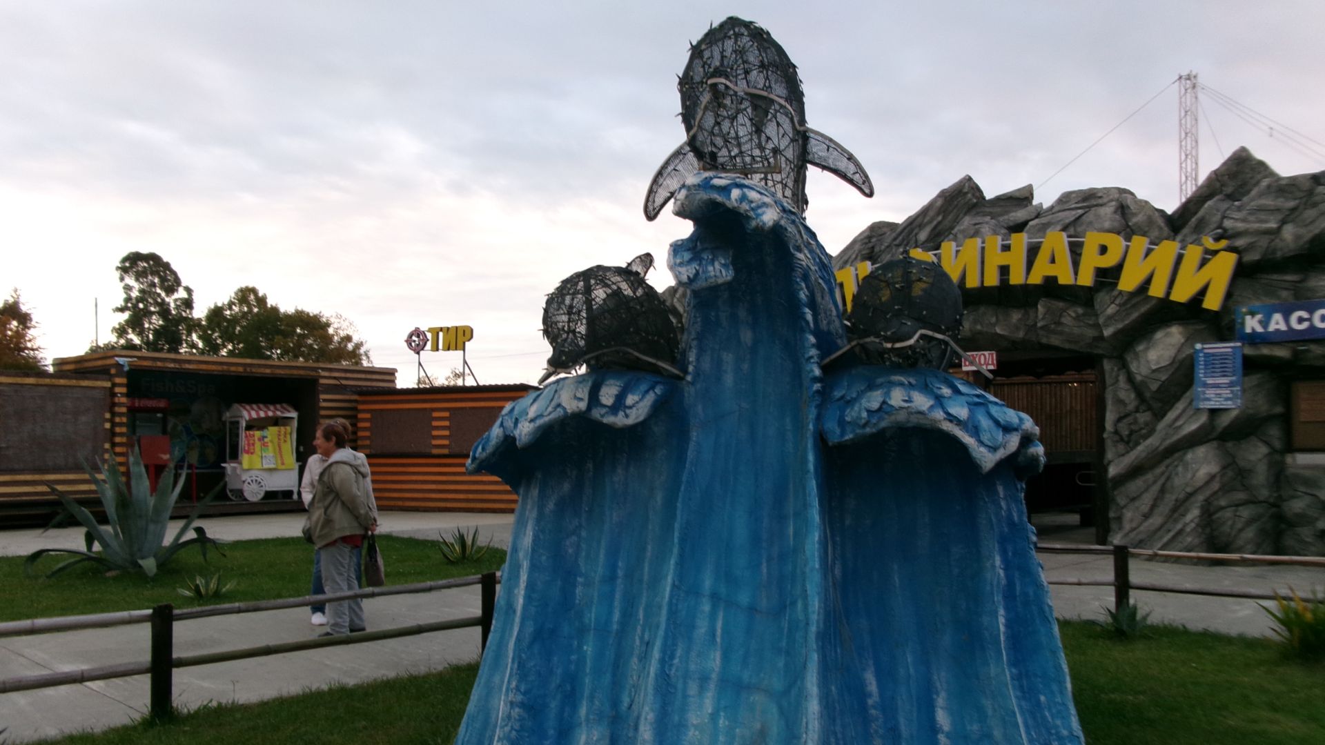 Заключение.. Представления Черноморских Дельфинов, которых зовут Аква, Аста..     Аукцион рисунка..