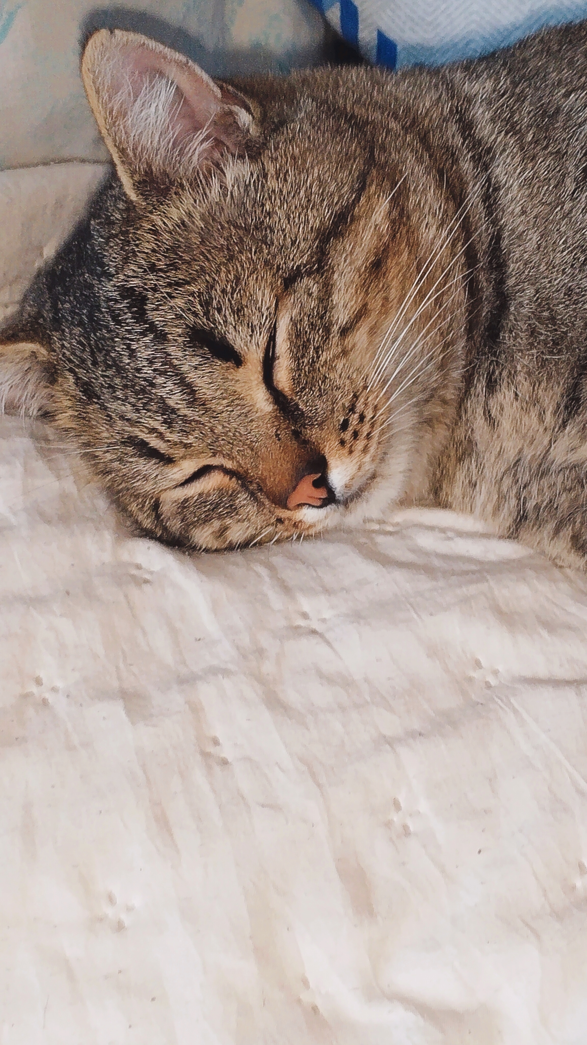 А мне, надо!? Там, -32'!🙀