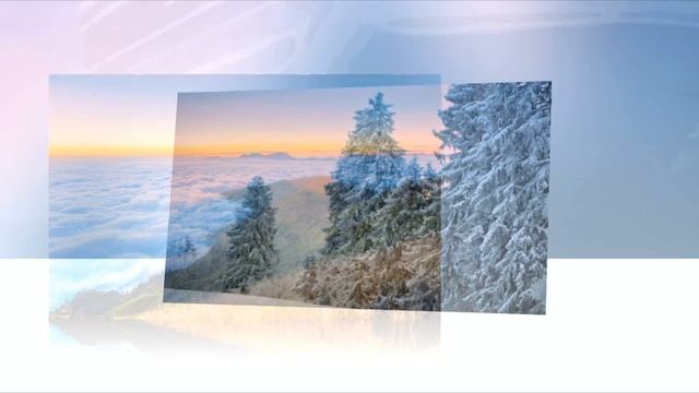 Stive Morgan - Caravan