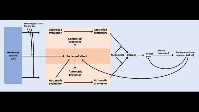 Мозг против дивана. Почему мы ленимся. Психофизиологические основы поведения и мотивации активности