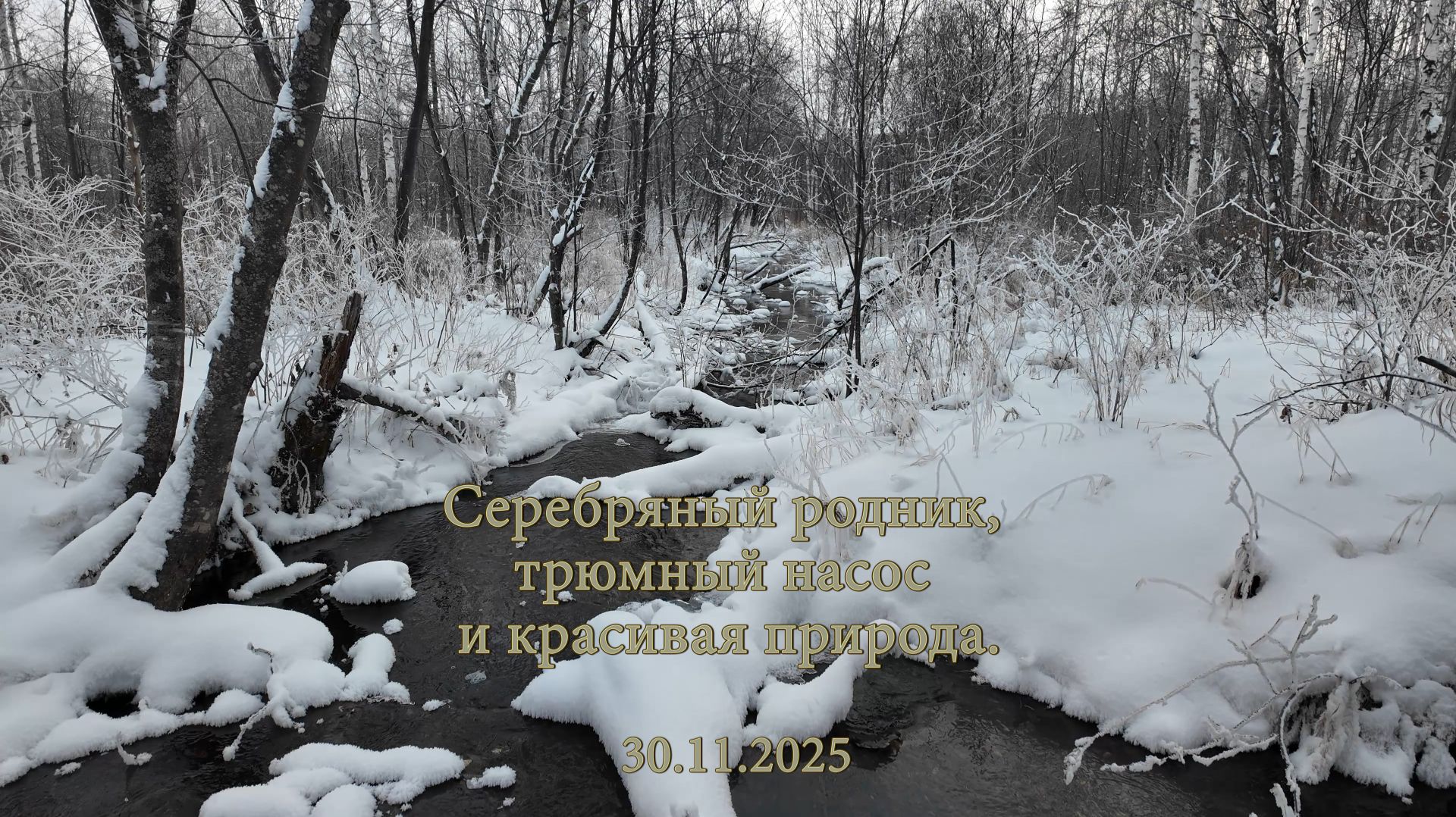 Серебряный родник, трюмный насос и красивая природа. 30.11.2025