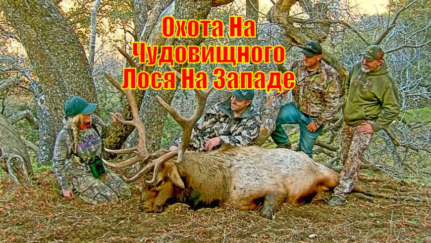 Охота На Чудовищного Лося На Западе