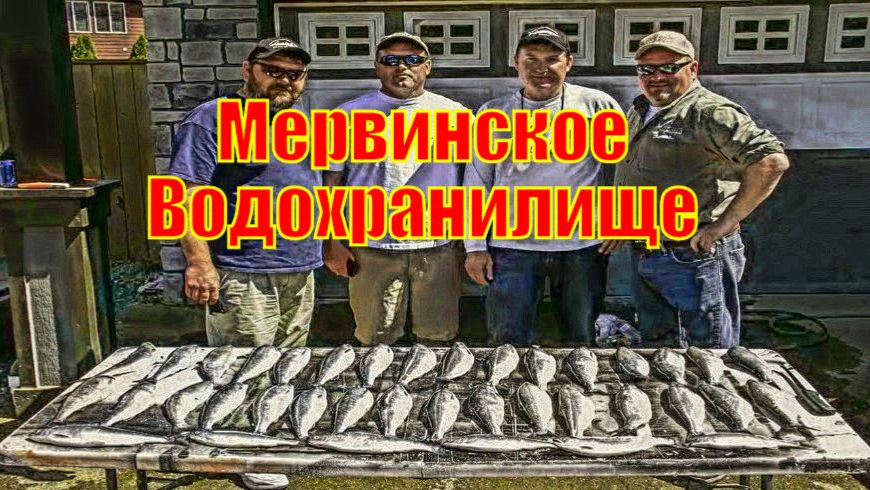 Мервинское Водохранилище