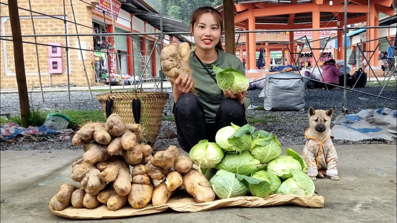 Мама поневоле собирает сладкий картофель и продает. Серия 6.