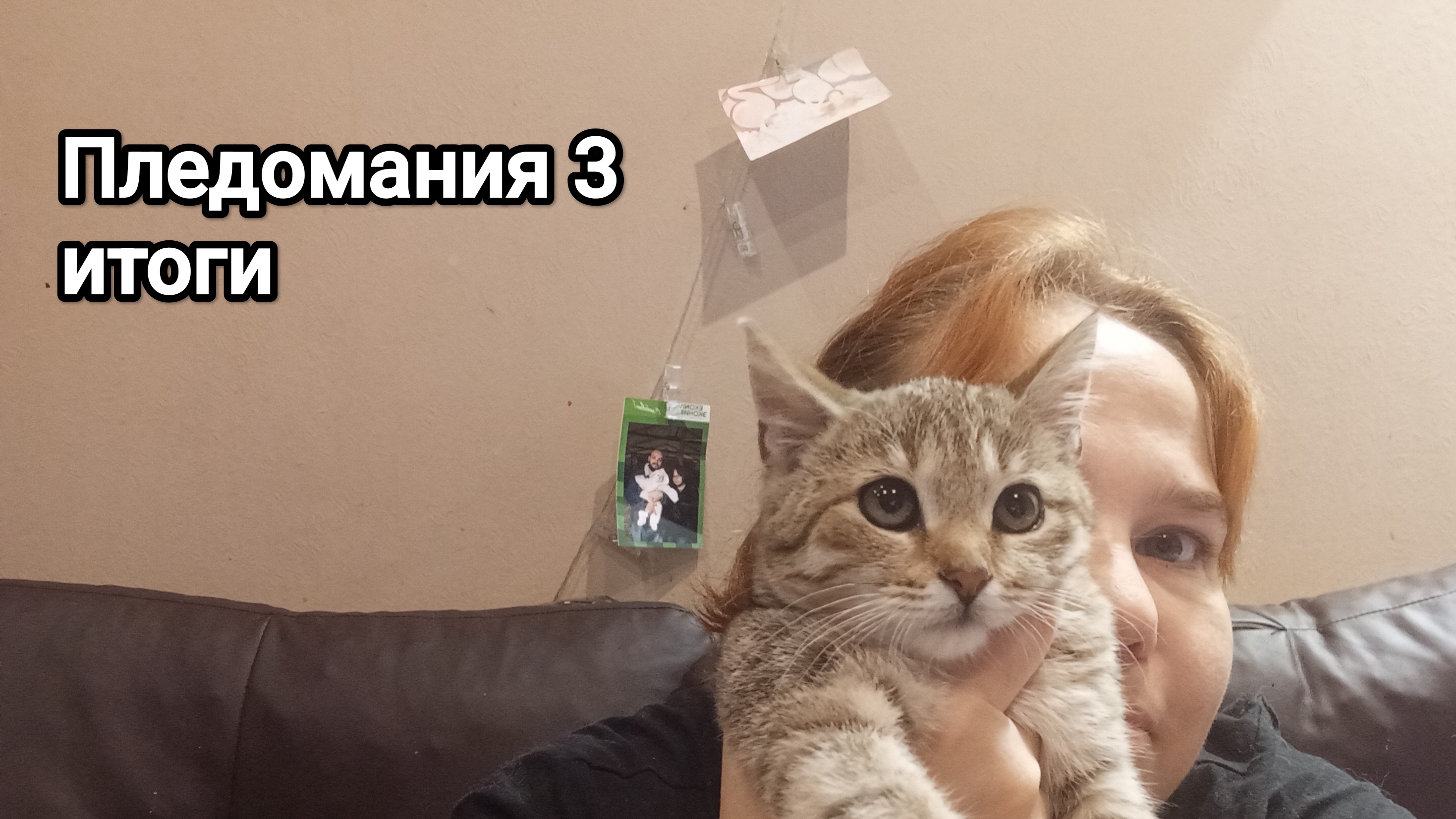 СП Пледомания 3, итоги