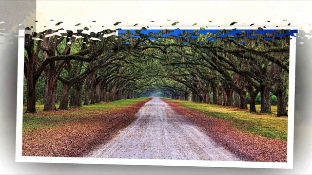 Stive Morgan - Telephone Emptiness