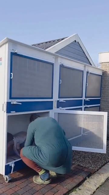 Тихий час в голландском садике