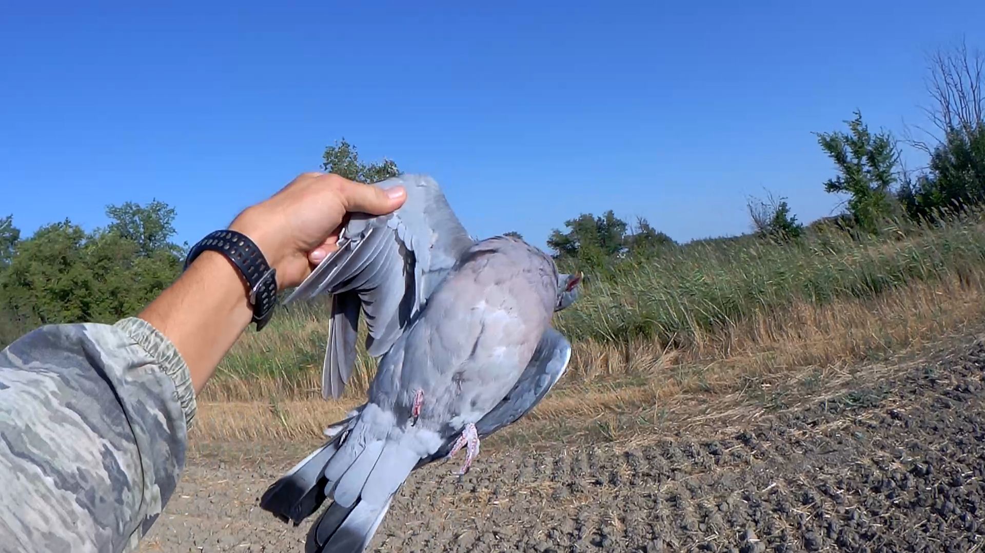 НА КОНЕЦ ТО!!! Первый Вяхирь добыт.