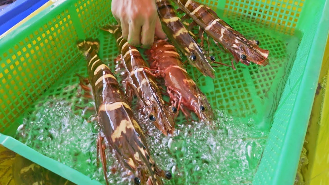 Самые свежие! Улов гигантских тигровых креветок и приготовление с чесночным соусом