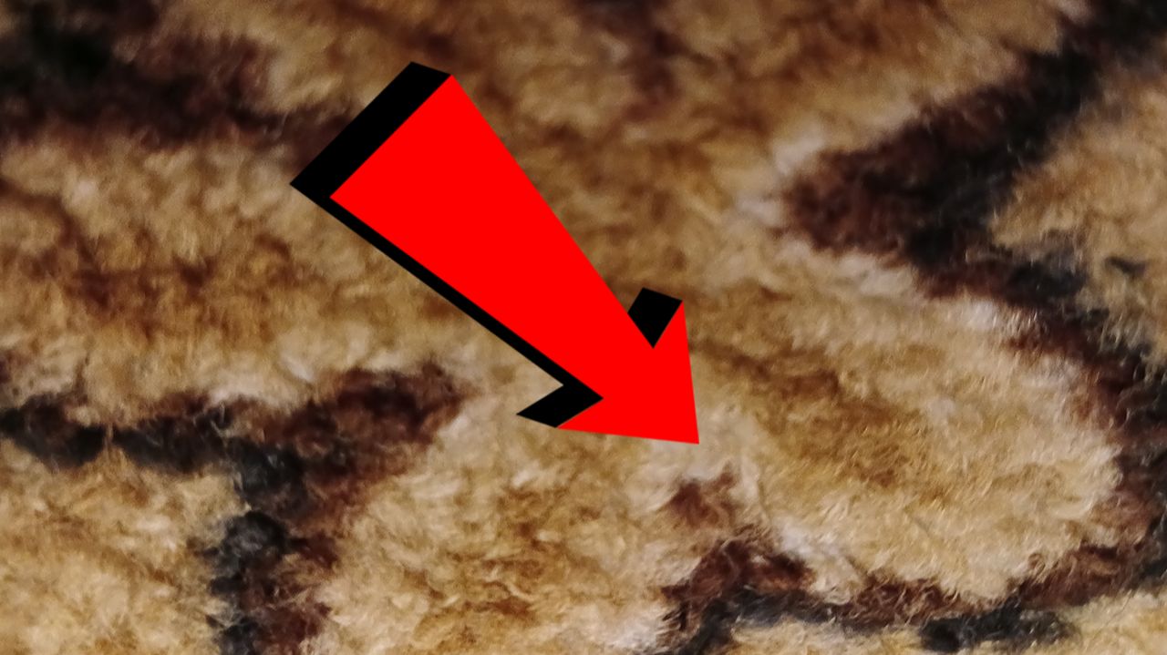 Как почистить ковролин дома на полу не снимая За 3 минуты!