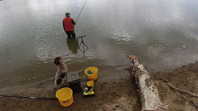 Рыбалка на реке Кубань 🔴ОХОТРАДИО