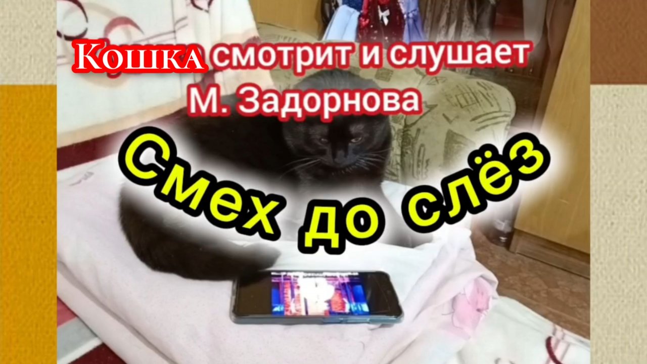 СМЕХ ДО СЛЁЗ 😂