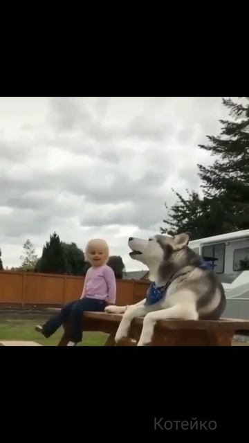 Когда прорезался голос..🙀