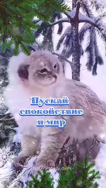 Зимушка - зима! С 1 декабря! Красивая музыкальная открытка.