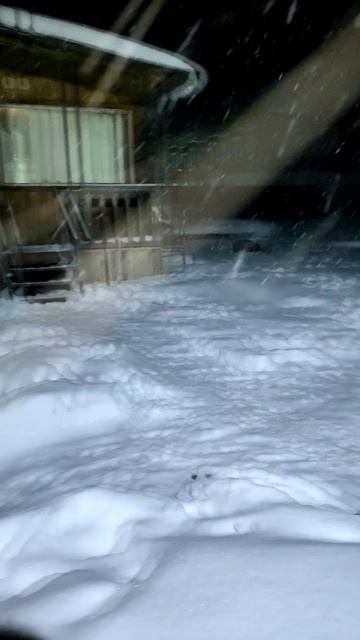 Заканчиваю забой, а вокруг — новогодняя сказка! 🎅