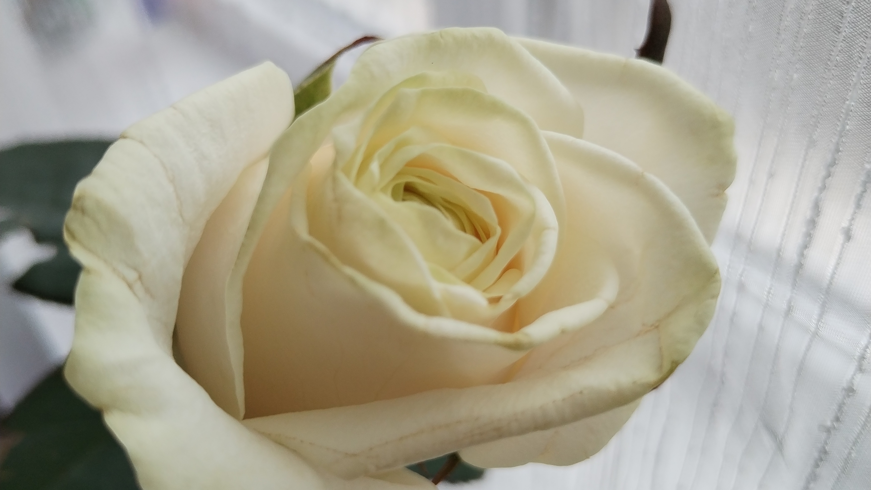 Влог 24-30.11.25 Сама себя не похвалишь никто не похвалит 😁