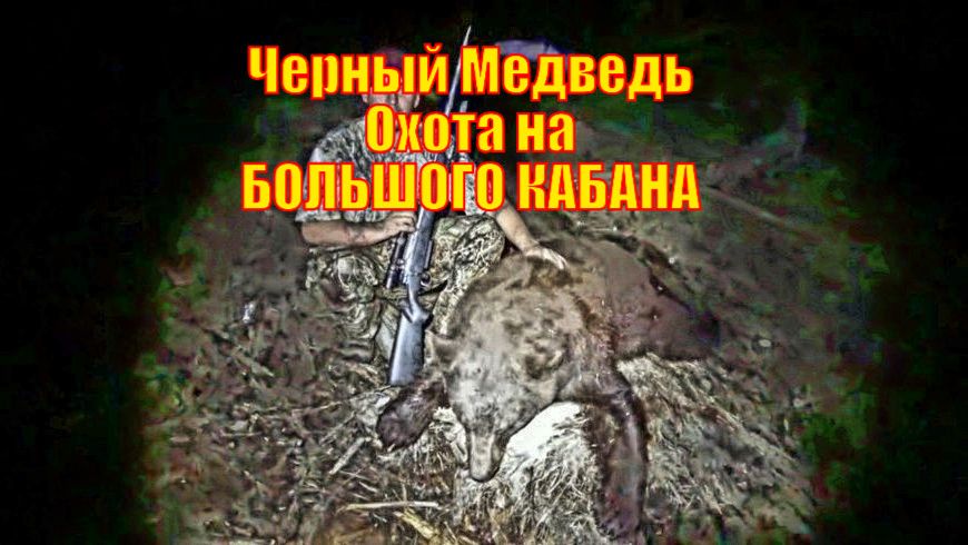 Черный Медведь Охота на БОЛЬШОГО КАБАНА