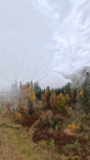 Роза хутор. Идём в туман. 5 октября 2025.