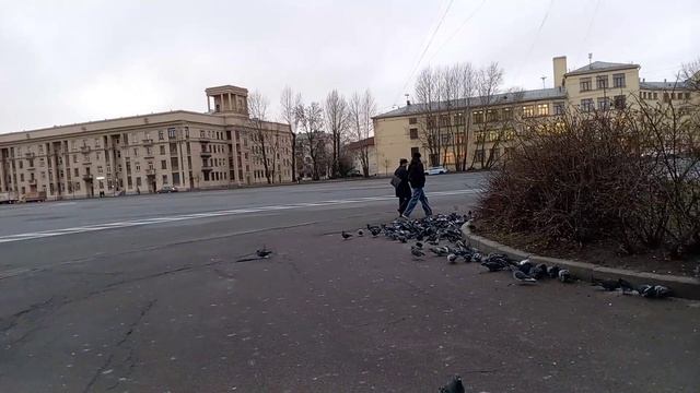 ИДУ В МАГАЗИН.