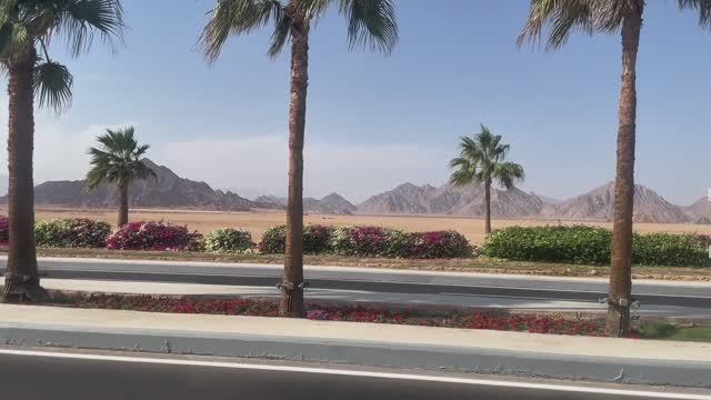 Шарм-эль-Шейх. Дорога от аэропорта