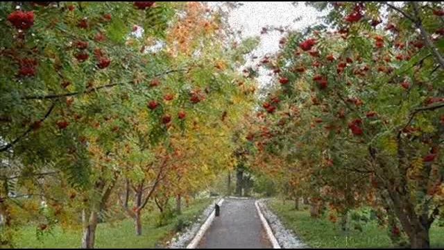 Летний вечер в Луганске (слайд-шоу Денис Миронов) - Александр Сергеевич Миронов -