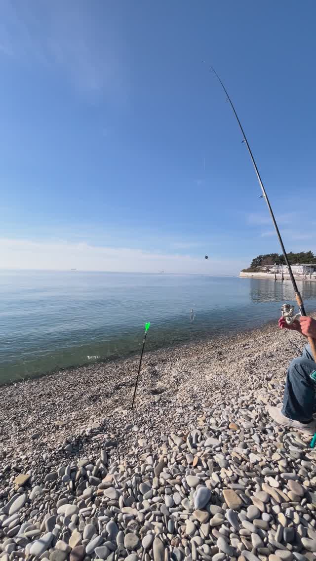 Клюёт кефаль