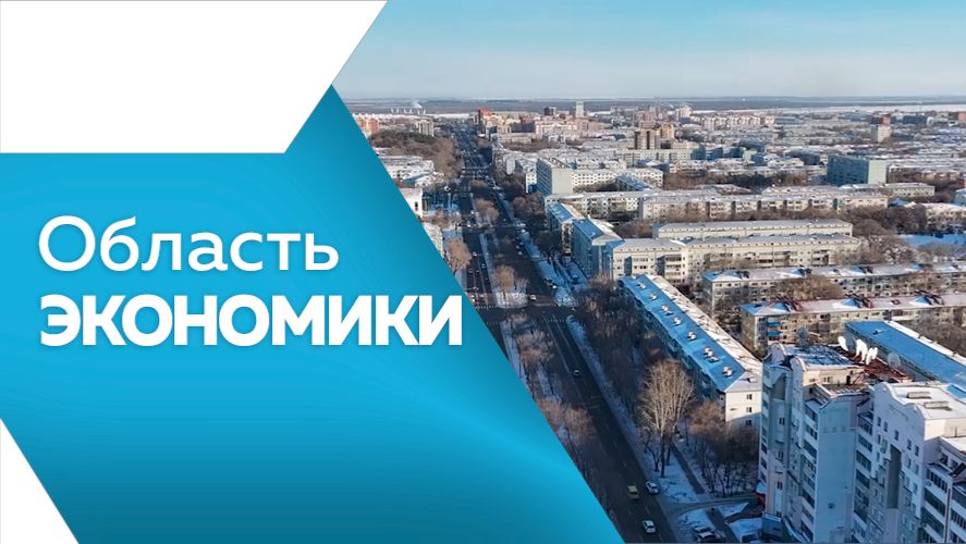 Область экономики №163